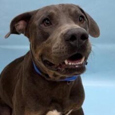 14578c35-953b-48fd-91db-1be599cb8355