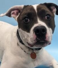 271f3303-07c5-43cc-a926-8309138063d0