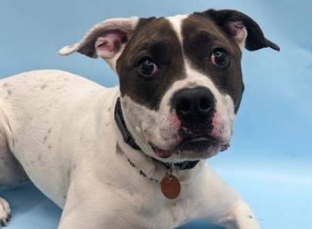 271f3303-07c5-43cc-a926-8309138063d0