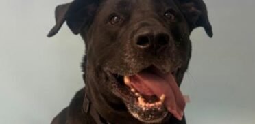 5bc118fd-aa6d-4756-a07e-5562d5e27073