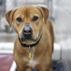 8c243bd6-8b9c-4c3e-b21d-2953cb786477