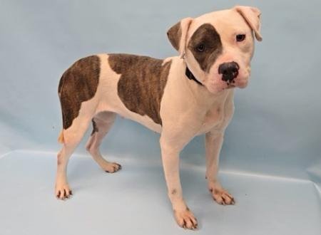 a696bfad-cd5c-4d68-876d-d2424c3e0522