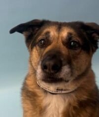 d120345c-3096-496b-93f0-130e0438e2b4