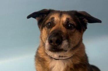 d120345c-3096-496b-93f0-130e0438e2b4