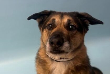 d120345c-3096-496b-93f0-130e0438e2b4