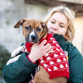28 December 2025, Berlin: Carer Alessandra Biazzo looks after the puppy "Lila" at the Berlin animal shelter. Lila was found by the police in Alt Moabit during the Christmas period. During the Christmas period, several animals were abandoned, found or handed in in Berlin. Photo: Christophe Gateau/dpa (Photo by Christophe Gateau/picture alliance via Getty Images)